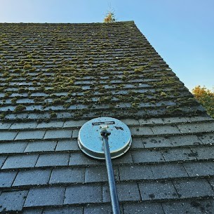 What Happens to Moss and Debris After Roof Cleaning?